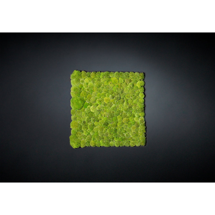 The Seasonal Aisle Faux Moss Plant Wayfair.co.uk